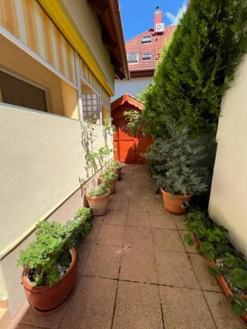 Sofi Appartment Heviz Exterior foto