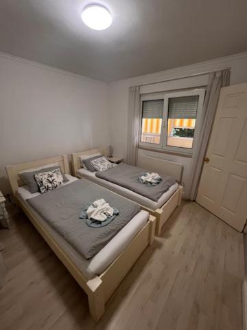 Sofi Appartment Heviz Exterior foto